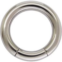 Surgical Steel Segment Ring